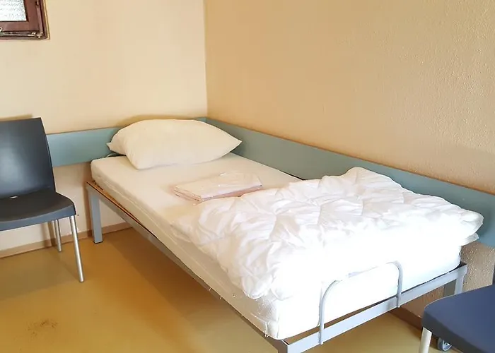 Micampa Wien Wienerwald Kamp alanı
