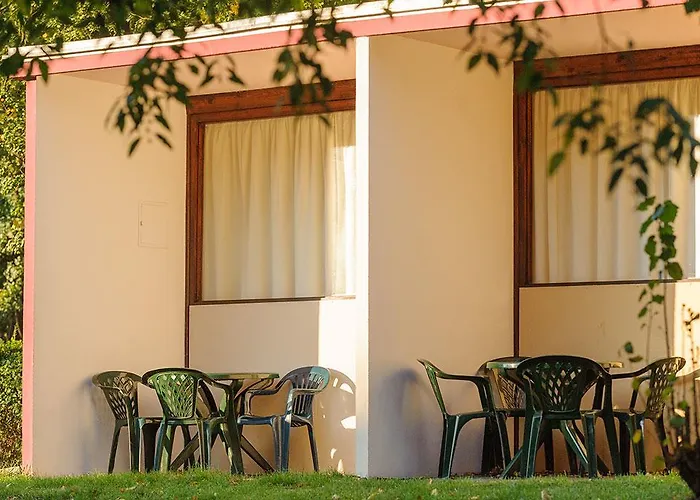 Micampa Wien Wienerwald Kamp alanı Viyana